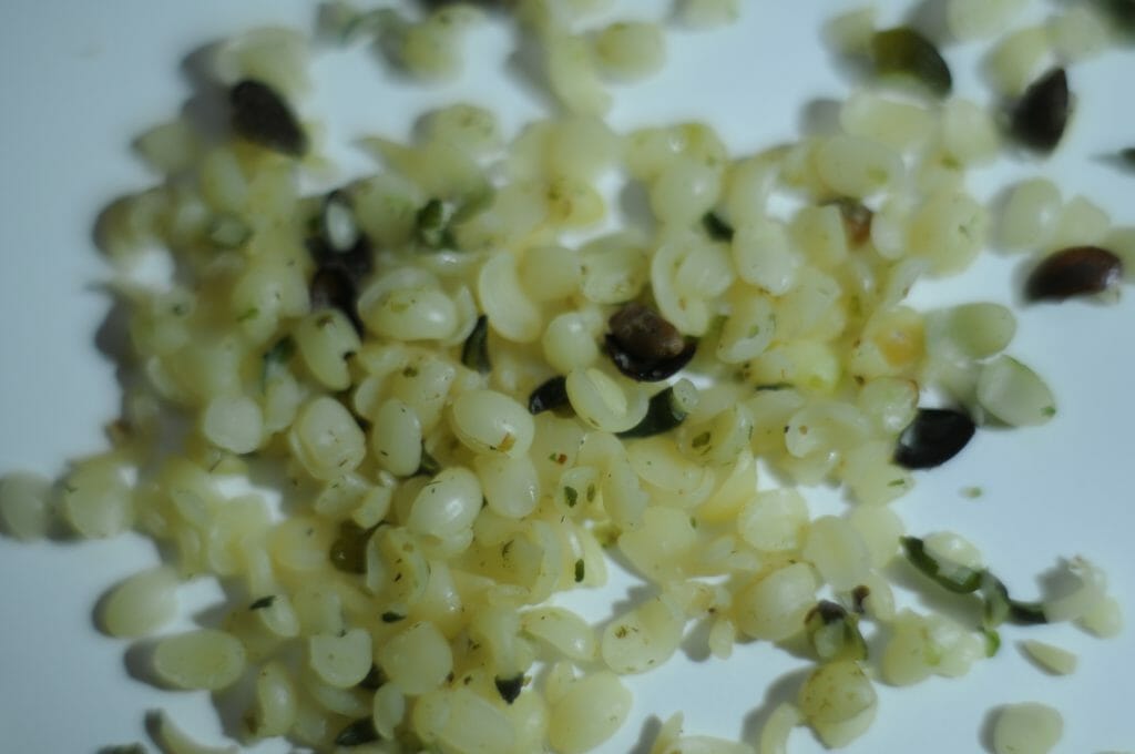 Growing Your Own Organic Hemp At Home 5 hemp seeds