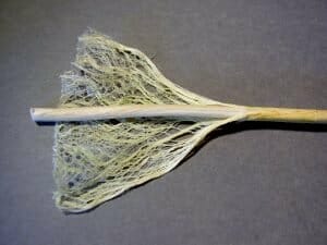 5 New and Innovative Ways to Take CBD 3 hemp fibre