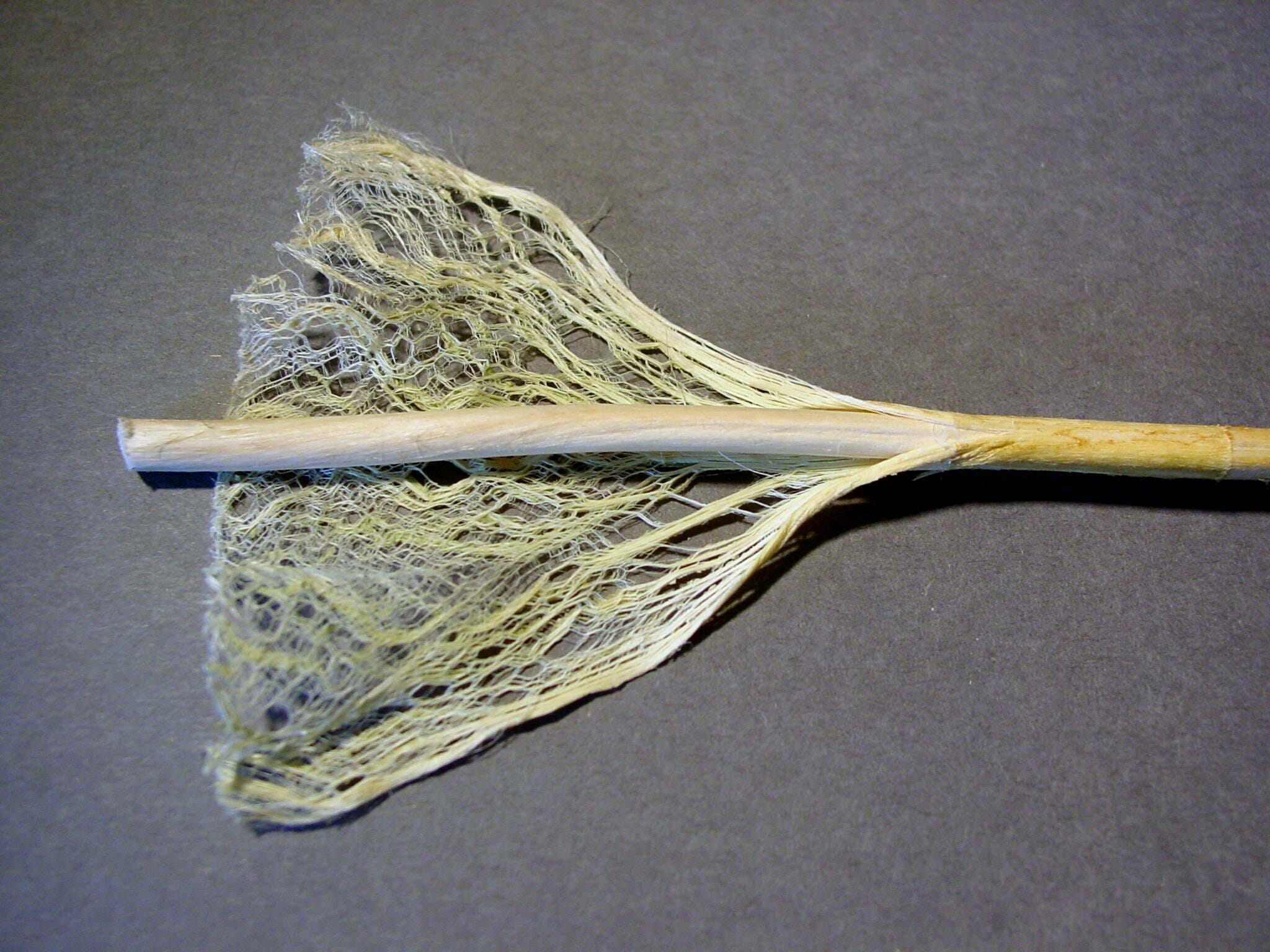 How Well Do You Really Know Hemp? - Ultimate Hemp Quiz (2019) 8 hemp fibre