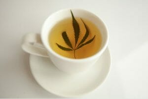 The Ultimate Guide to Choosing the right Hemp or CBD Tea 3 hemp leaf tea
