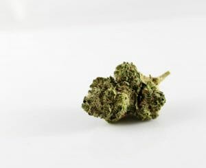 Best Cannabis Strains To Try While In Quarantine 3 Best Cannabis Strains To Try While In Quarantine 2